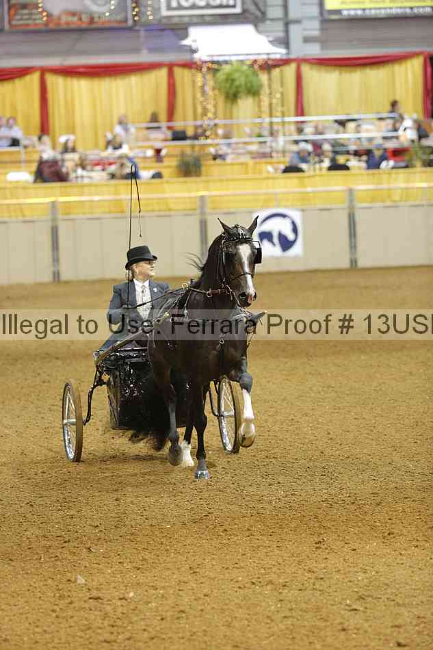 Proof 13usn_09886