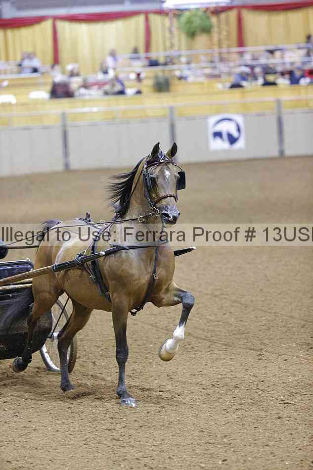 Proof 13usn_09887