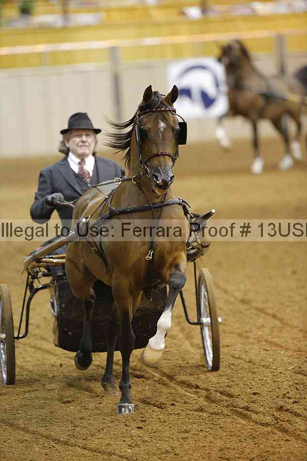 Proof 13usn_09897