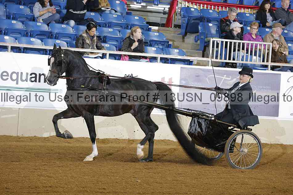 Proof 13usn_09898