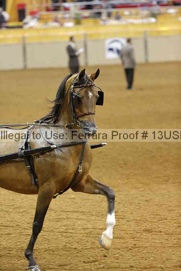 Proof 13usn_09902
