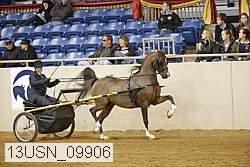 13usn_09906 proof