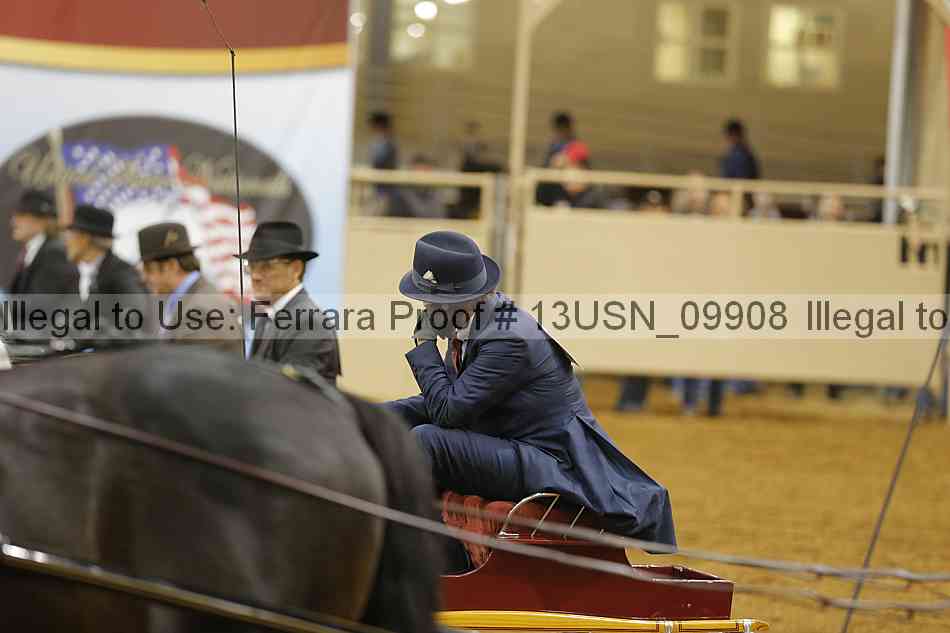 Proof 13usn_09908