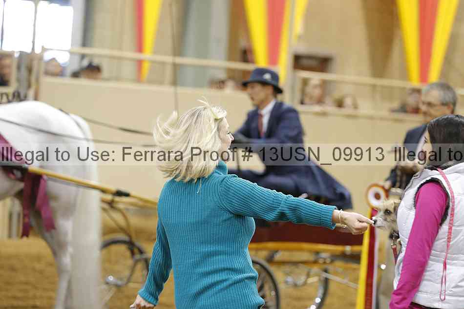 Proof 13usn_09913