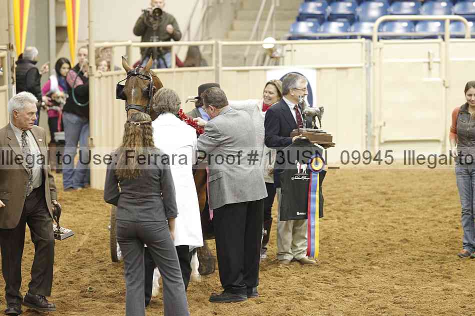 Proof 13usn_09945