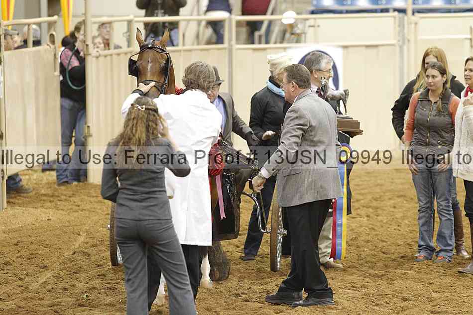 Proof 13usn_09949
