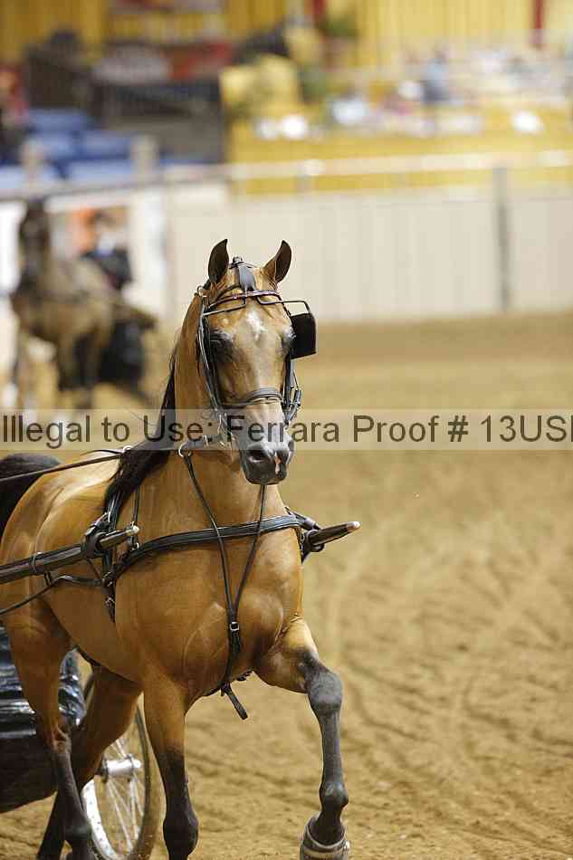 Proof 13usn_09963