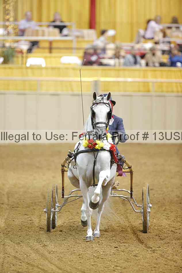 Proof 13usn_09978