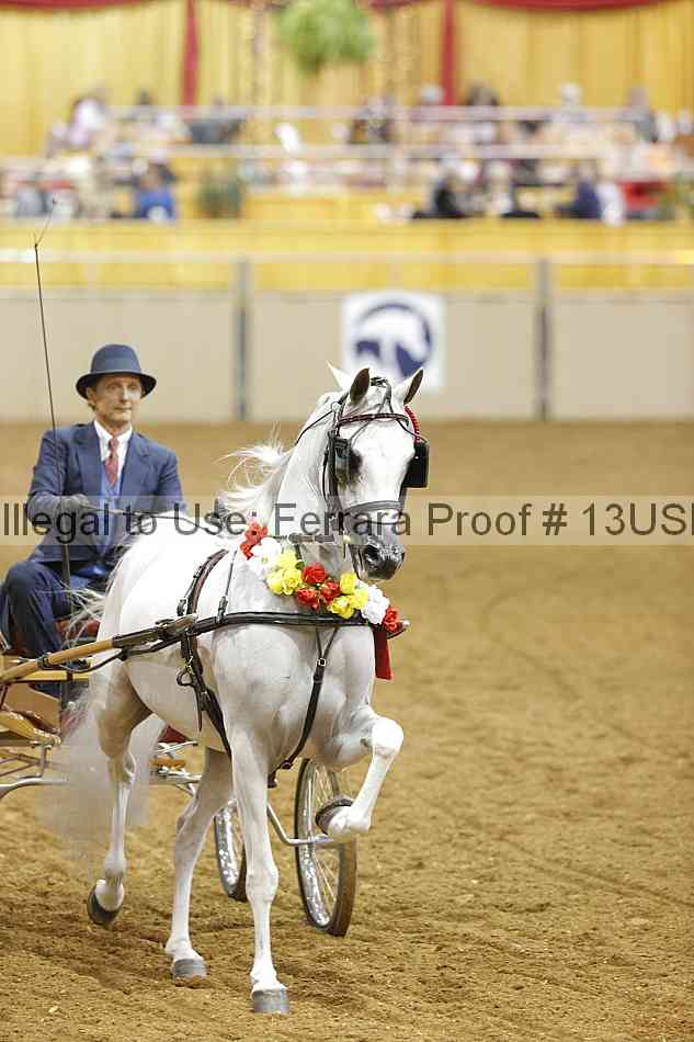 Proof 13usn_09979