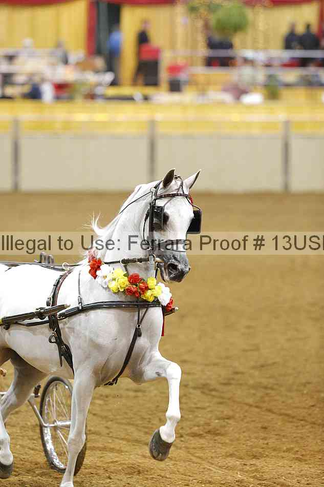 Proof 13usn_09980