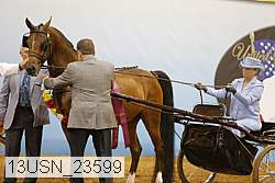 13usn_23599 proof