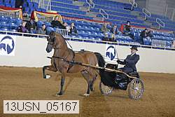 13usn_05167 proof