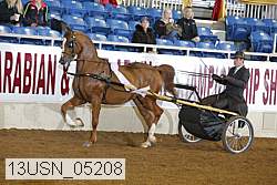 13usn_05208 proof
