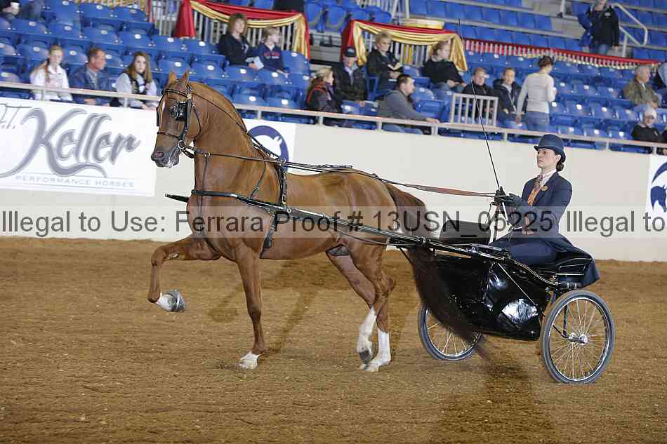 Proof 13usn_05225