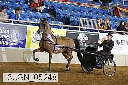 13usn_05248 proof