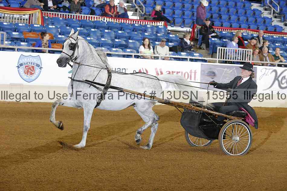 Proof 13usn_15955