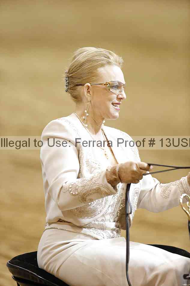 Proof 13usn_19529