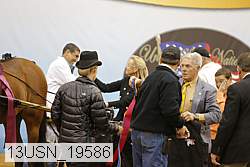 13usn_19586 proof