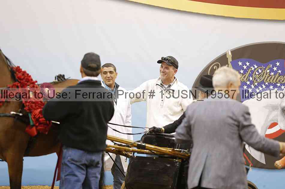 Proof 13usn_19587