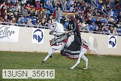 13usn_35616 proof