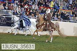 13usn_35631 proof