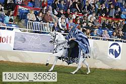 13usn_35658 proof