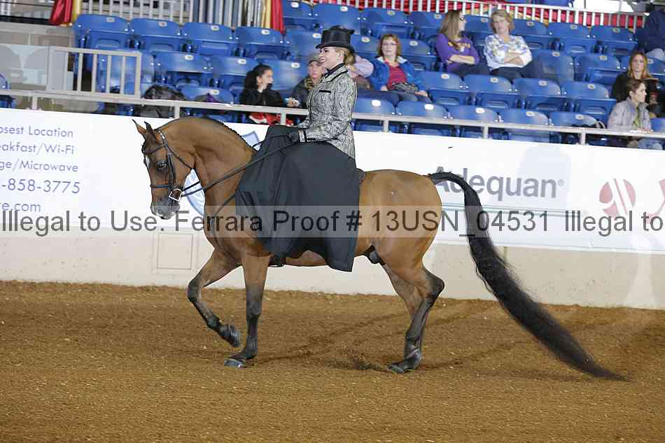 Proof 13usn_04531