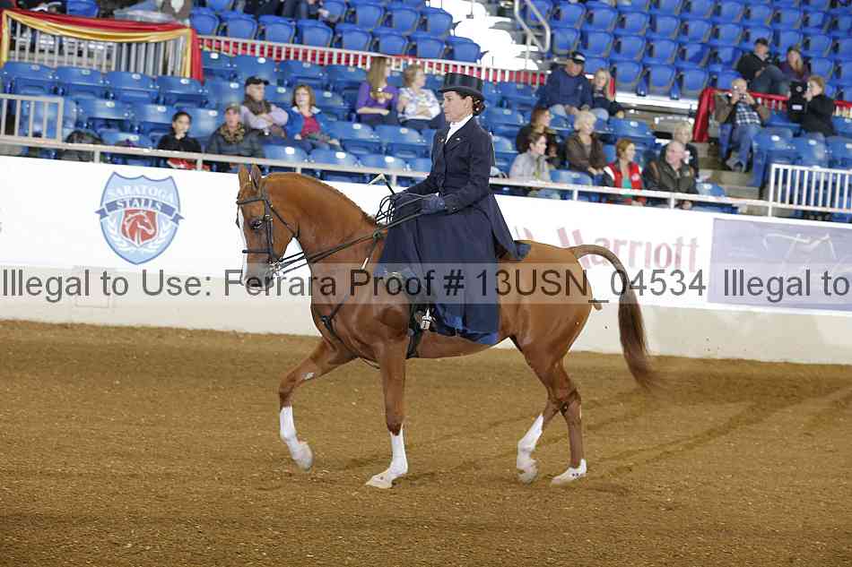 Proof 13usn_04534