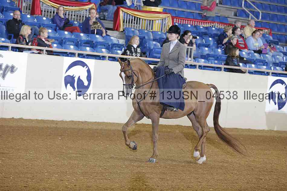 Proof 13usn_04538