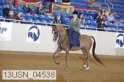 13usn_04538 proof