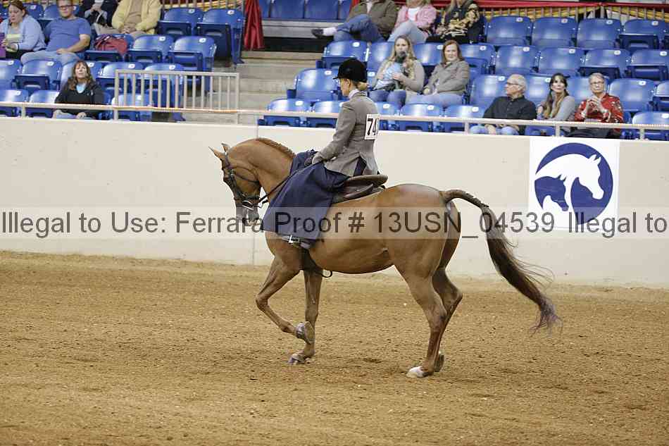 Proof 13usn_04539