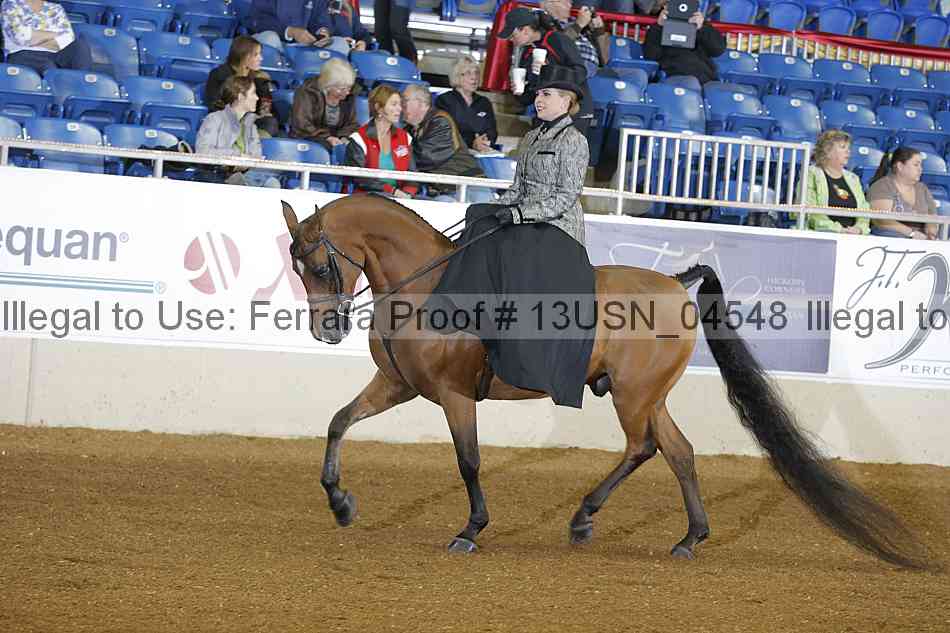Proof 13usn_04548