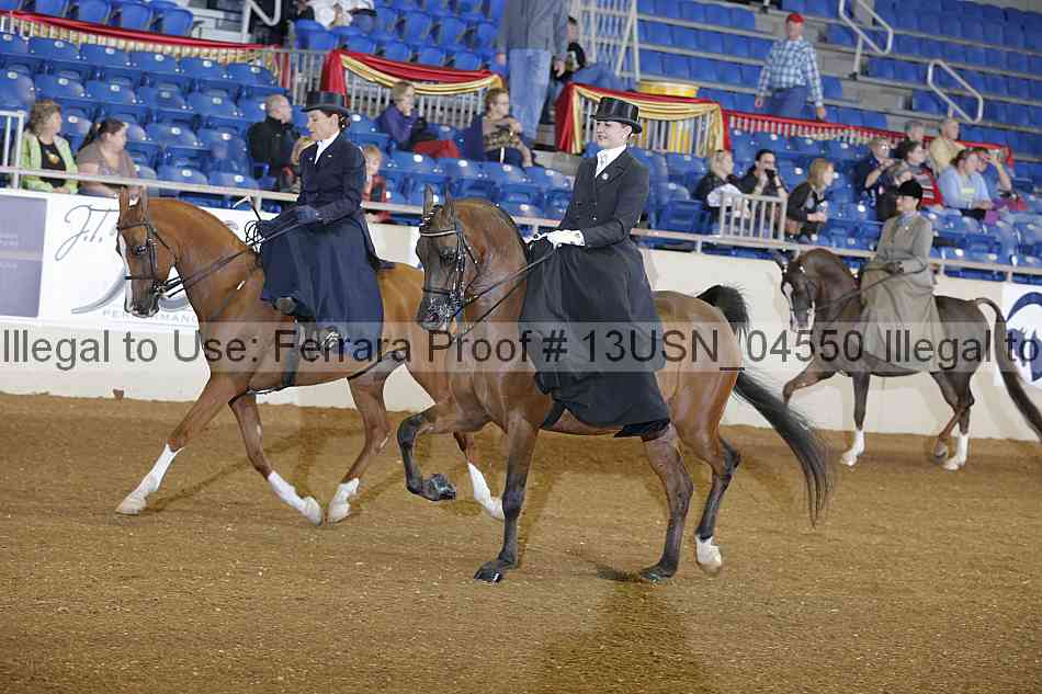 Proof 13usn_04550