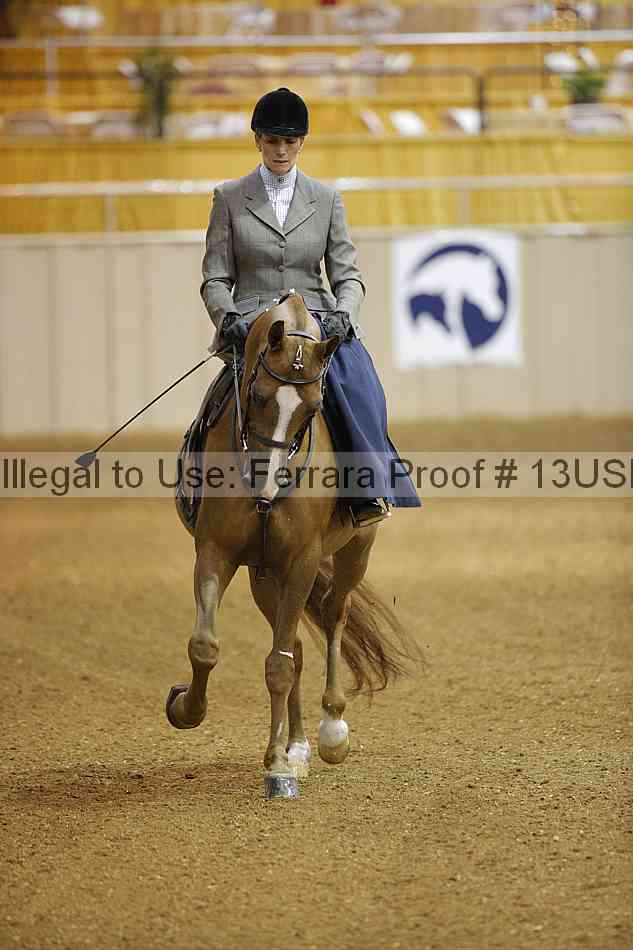 Proof 13usn_04556