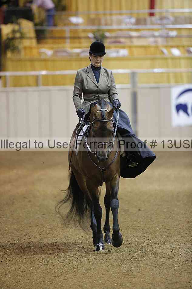 Proof 13usn_04557