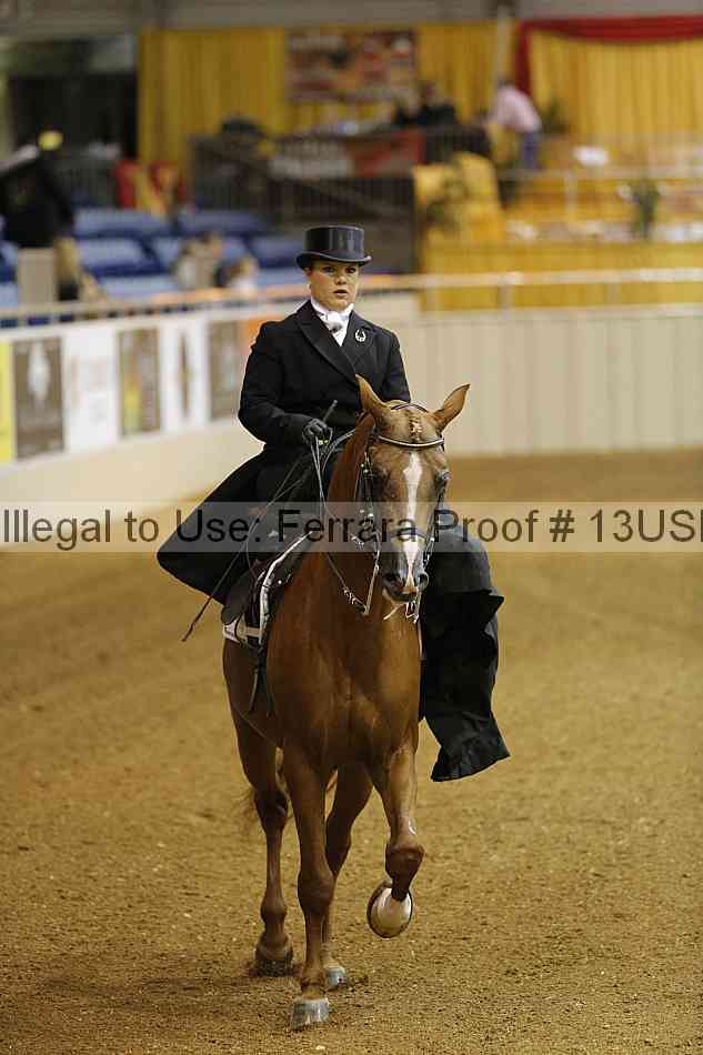 Proof 13usn_04559
