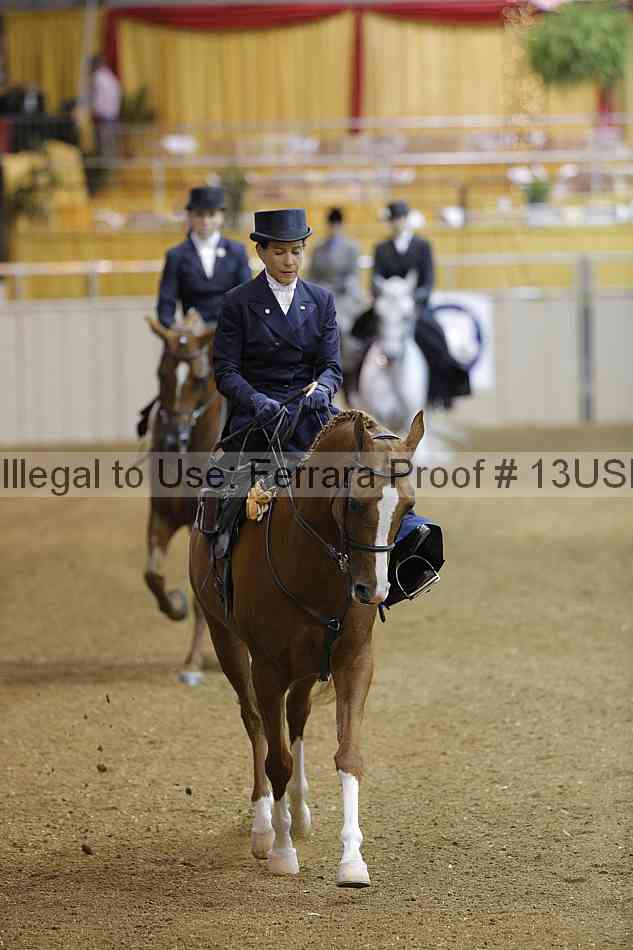 Proof 13usn_04565