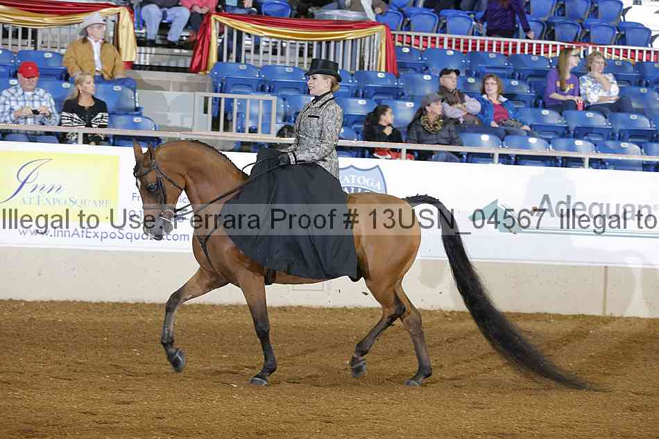 Proof 13usn_04567