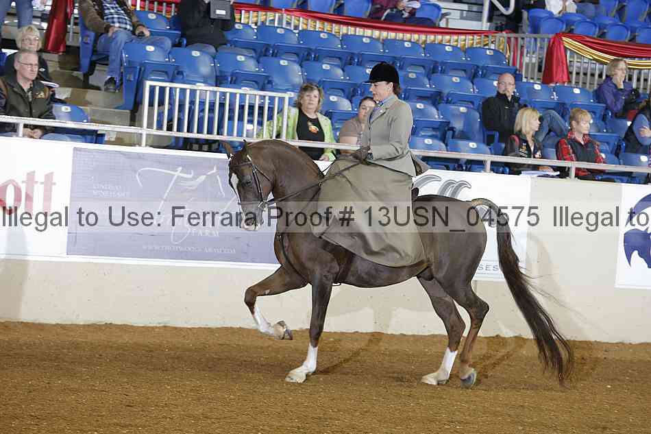 Proof 13usn_04575