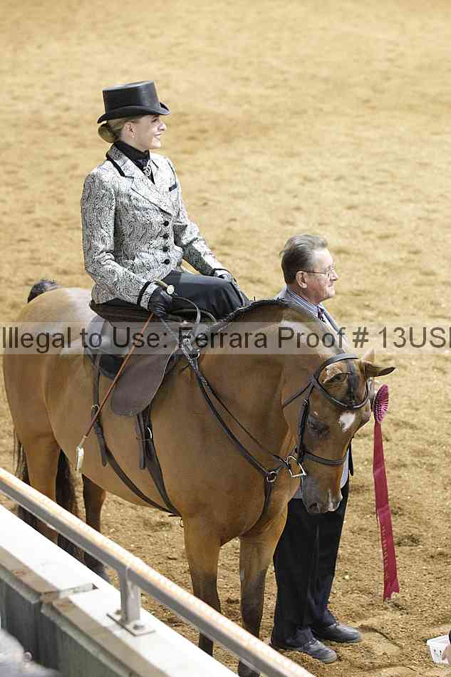 Proof 13usn_04589