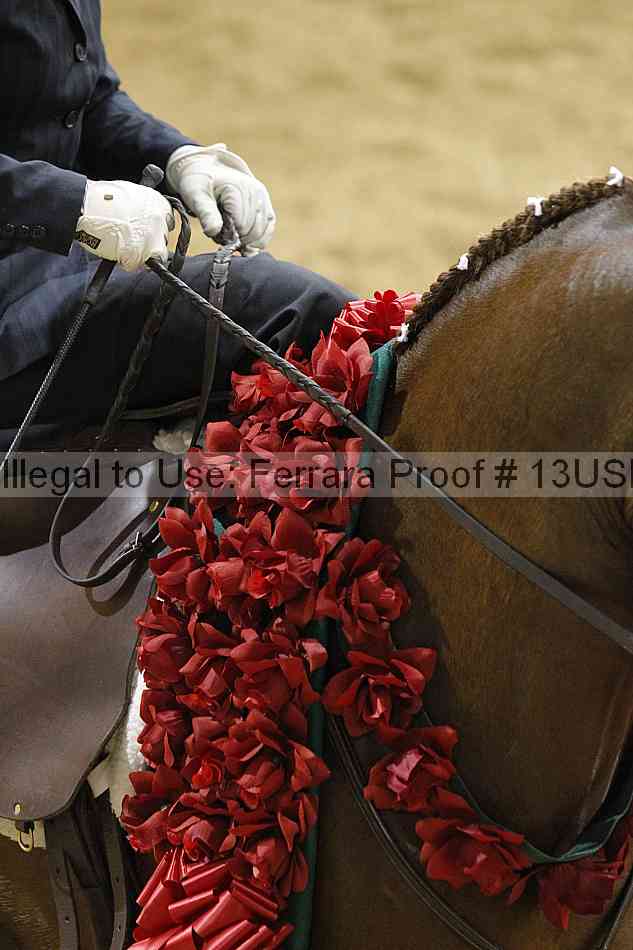 Proof 13usn_04695