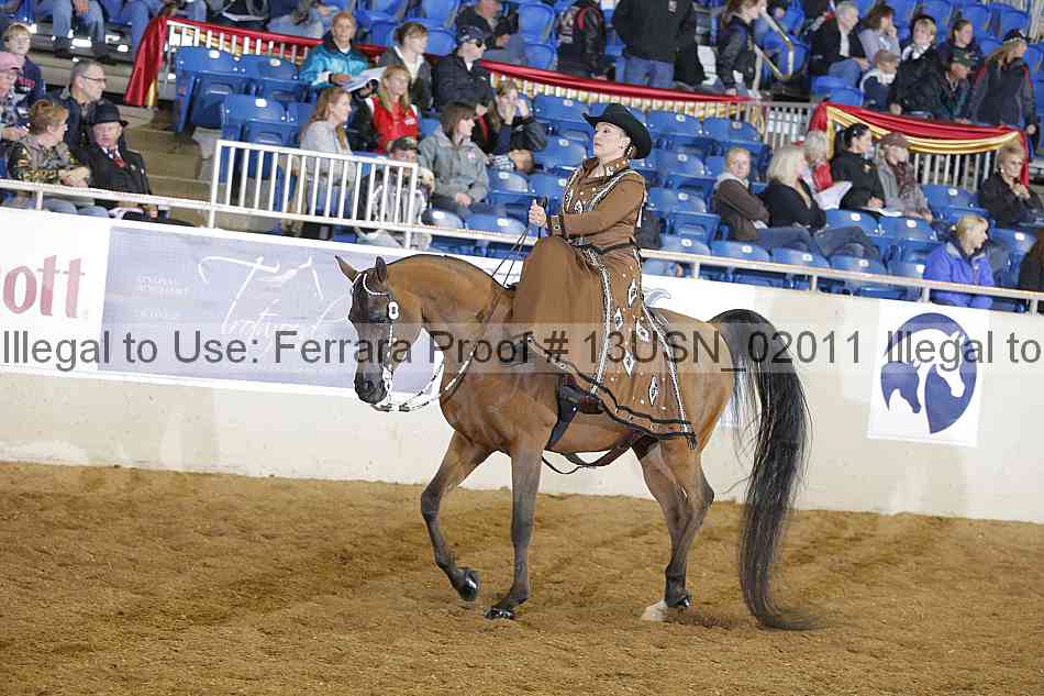 Proof 13usn_02011