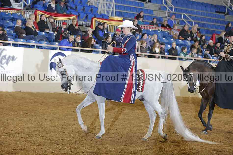 Proof 13usn_02027