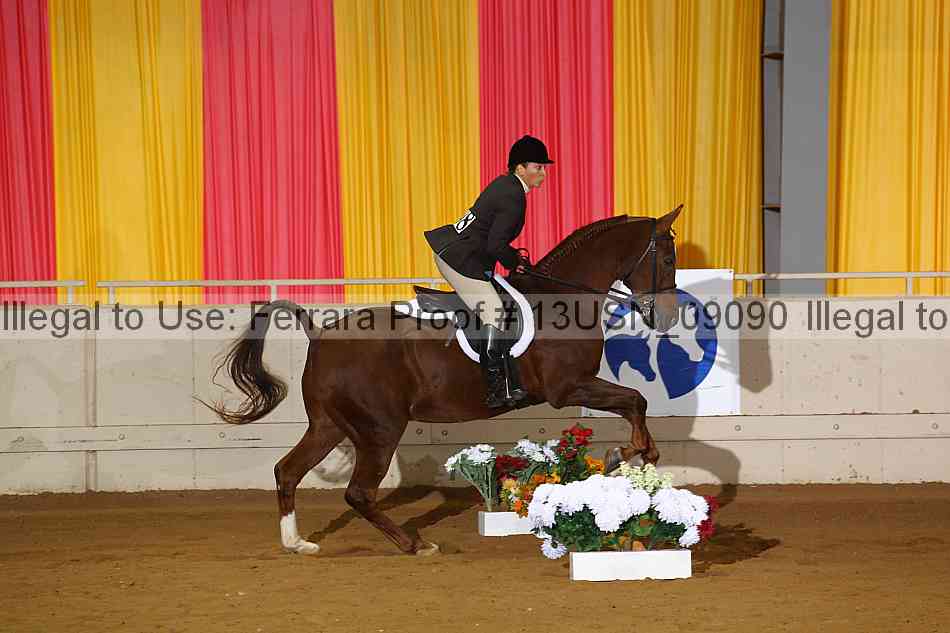 Proof 13usn_09090