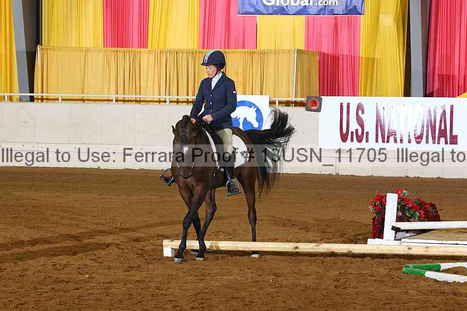 Proof 13usn_11705
