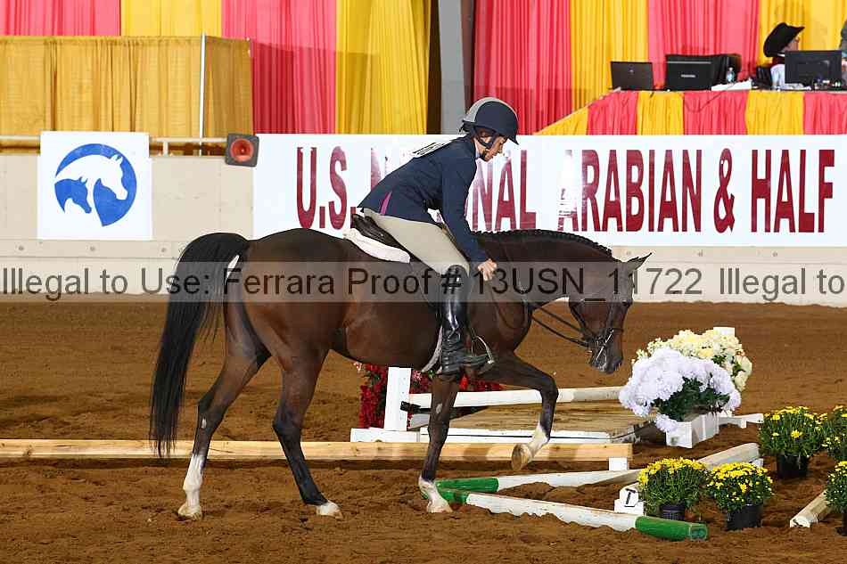 Proof 13usn_11722