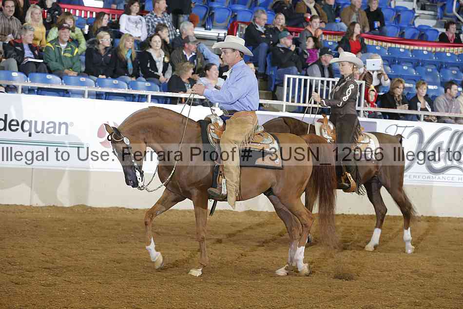 Proof 13usn_12006