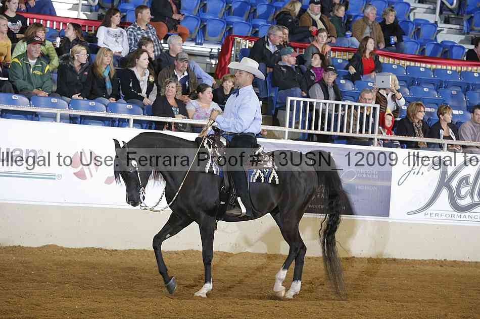 Proof 13usn_12009