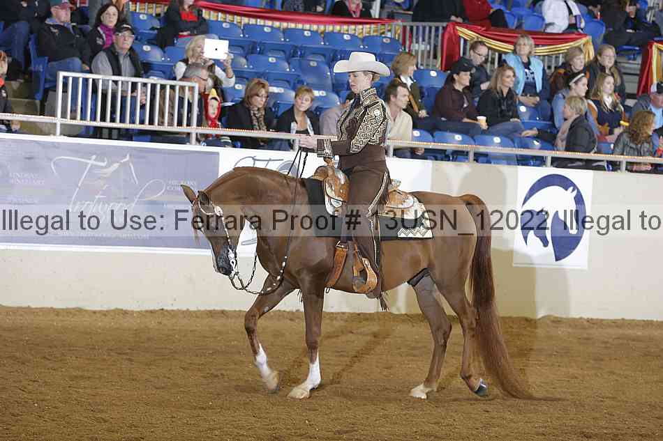 Proof 13usn_12022
