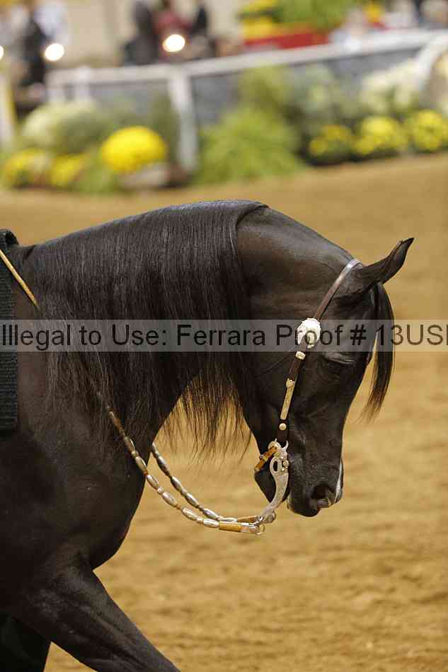 Proof 13usn_12026